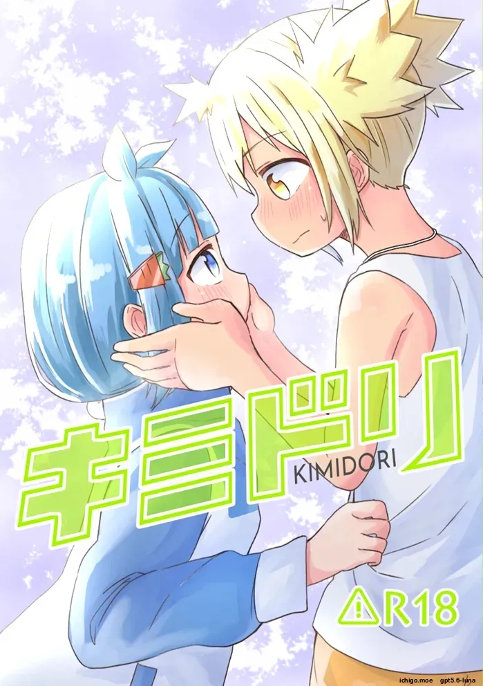 kimidori — preview page 1