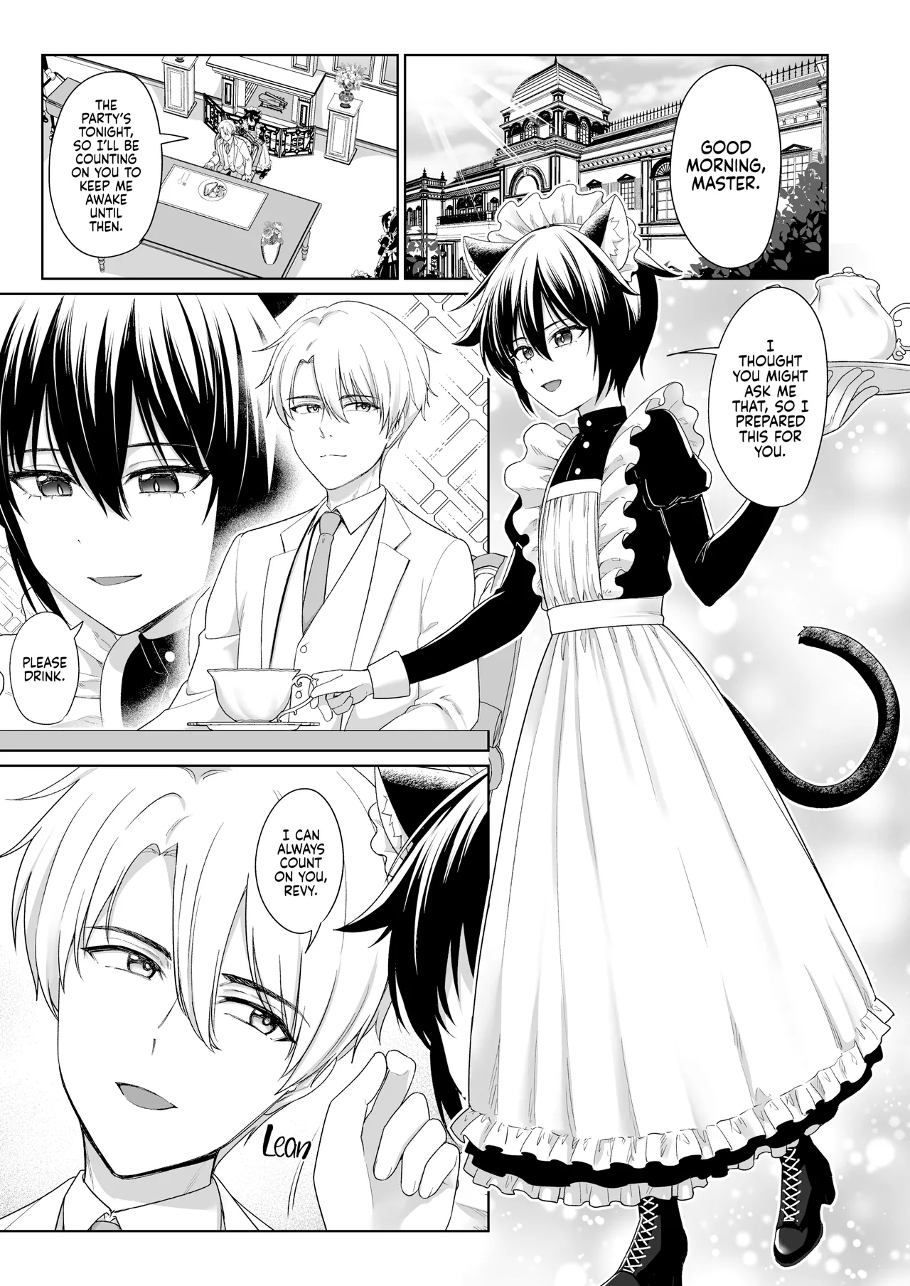 Nekomimi Shounen Maid no Ai suru Himegoto | Secretly Loving the Cat-Eared Maid — preview page 3