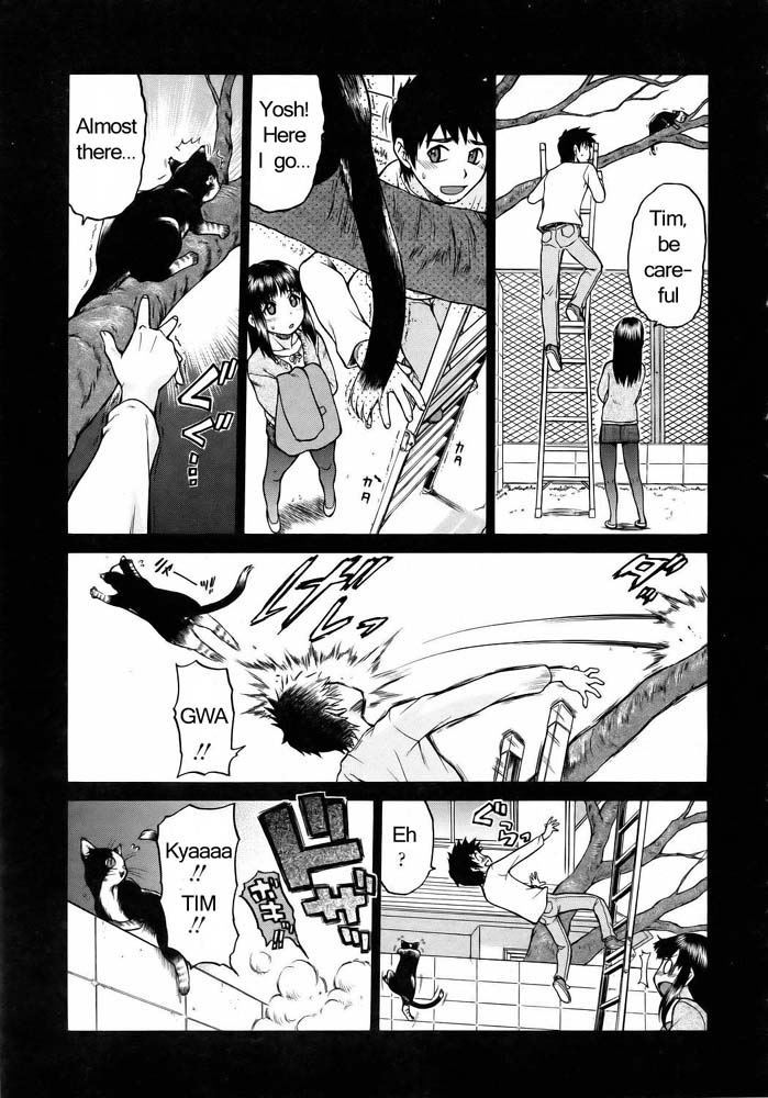 Miracle Kitty Punch — preview page 12