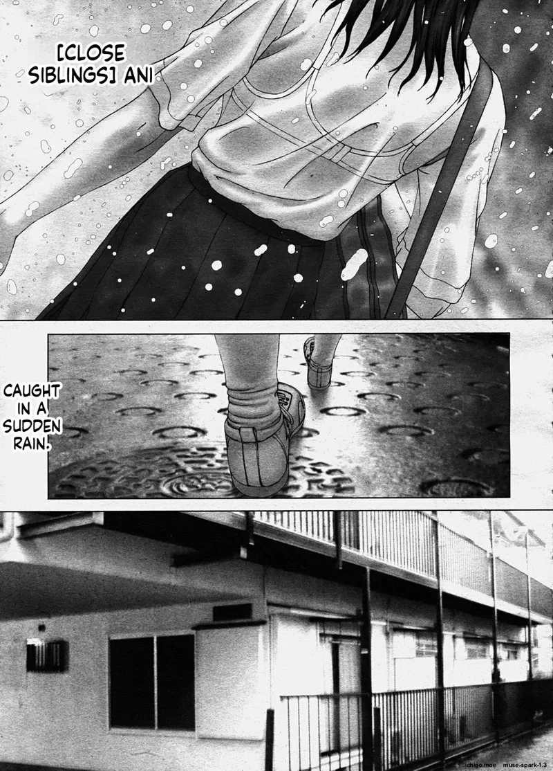 Close Siblings — preview page 1