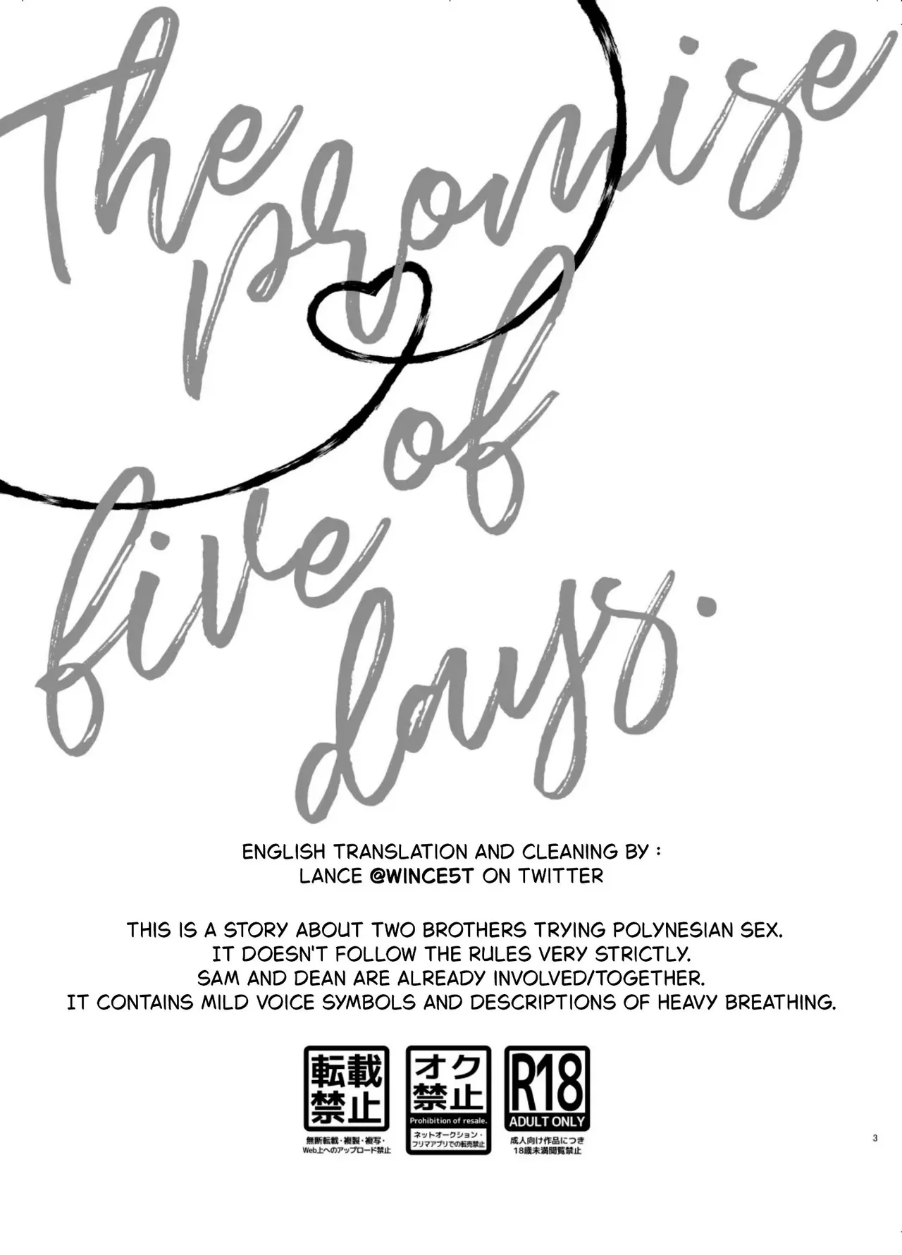 The 5-Day Promise — preview page 2