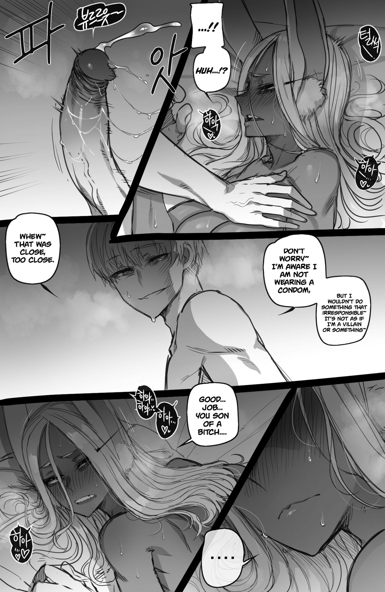 Mirko: Individual Compatibility — preview page 17