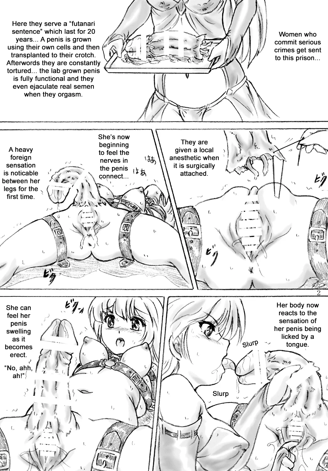 Futanari Sentence: Twenty Year Imprisonment — preview page 2