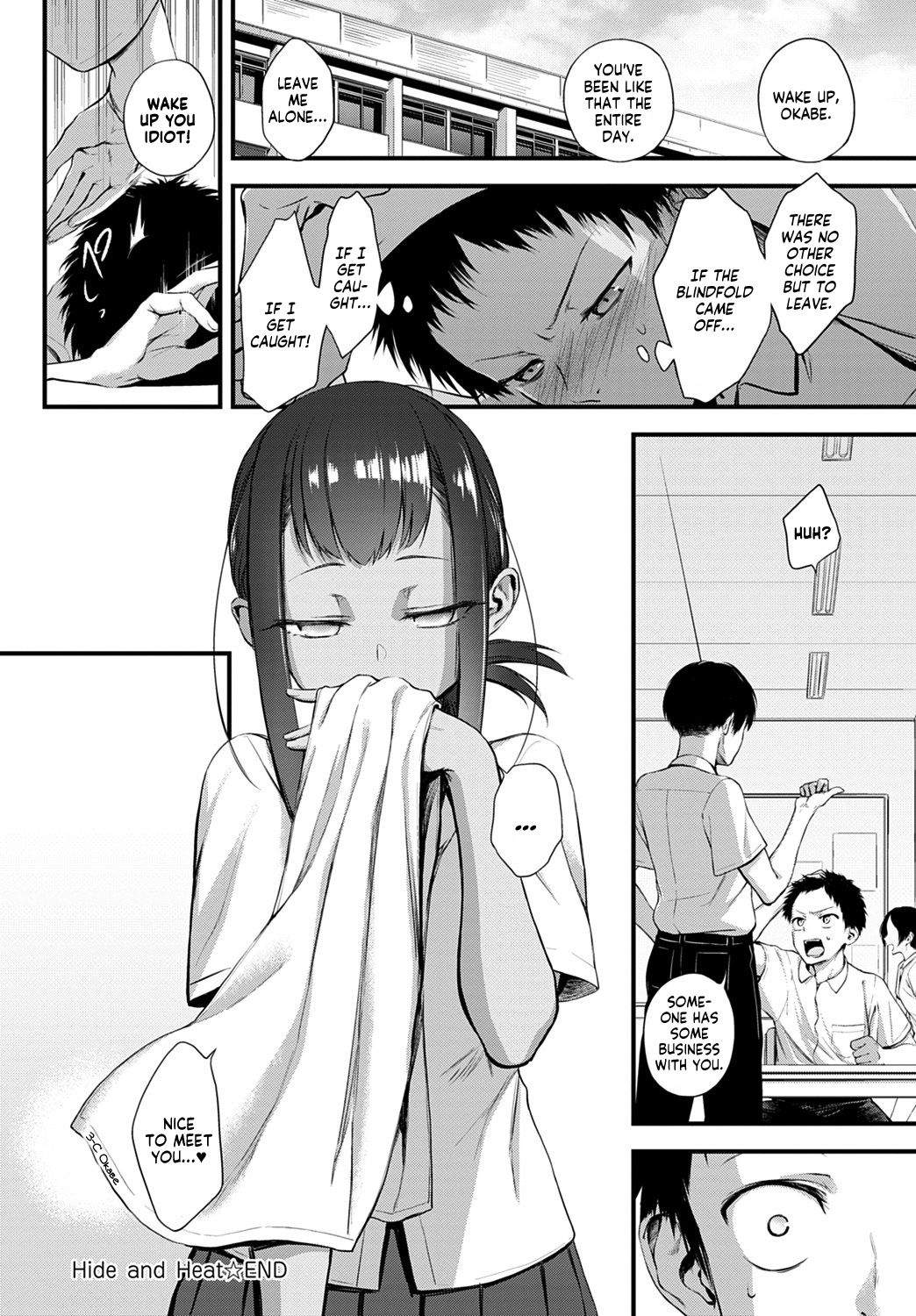 Hide and Heat — preview page 19