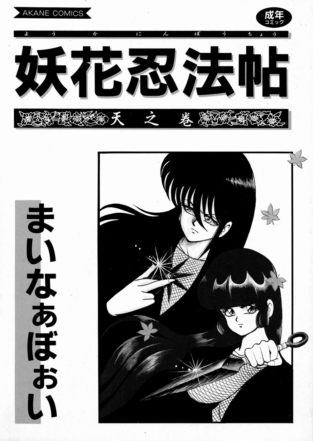 Youka Ninpouchou Ten no Maki — preview page 3