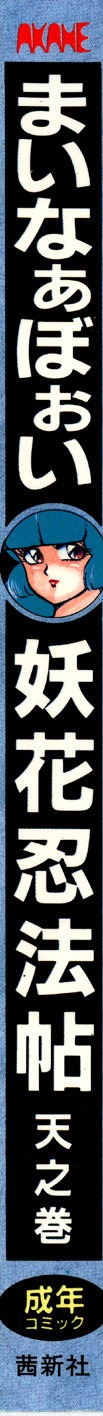 Youka Ninpouchou Ten no Maki – Chapter 1 – page 188
