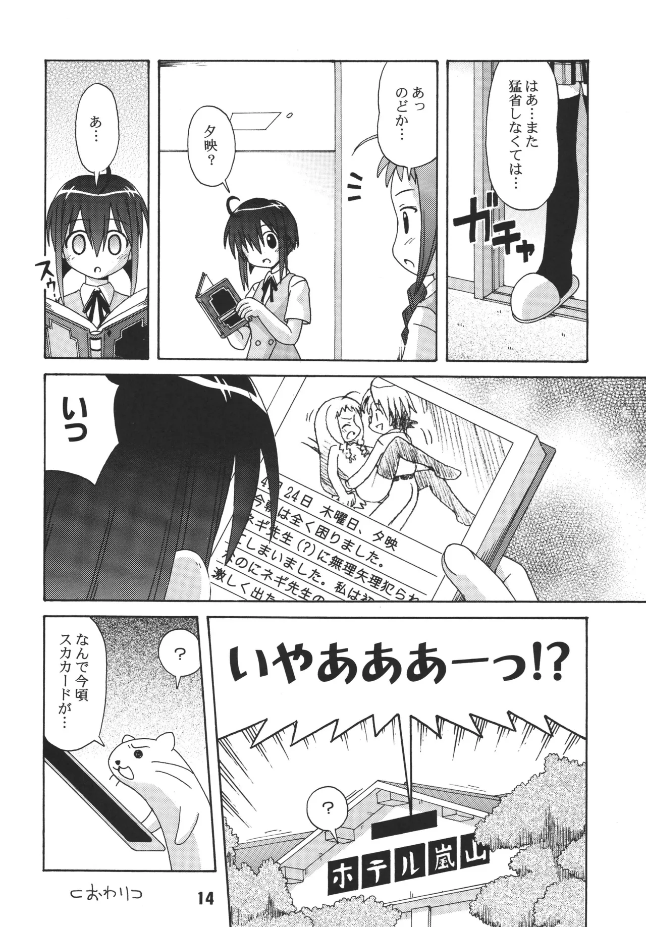 Negina. 3 — preview page 12