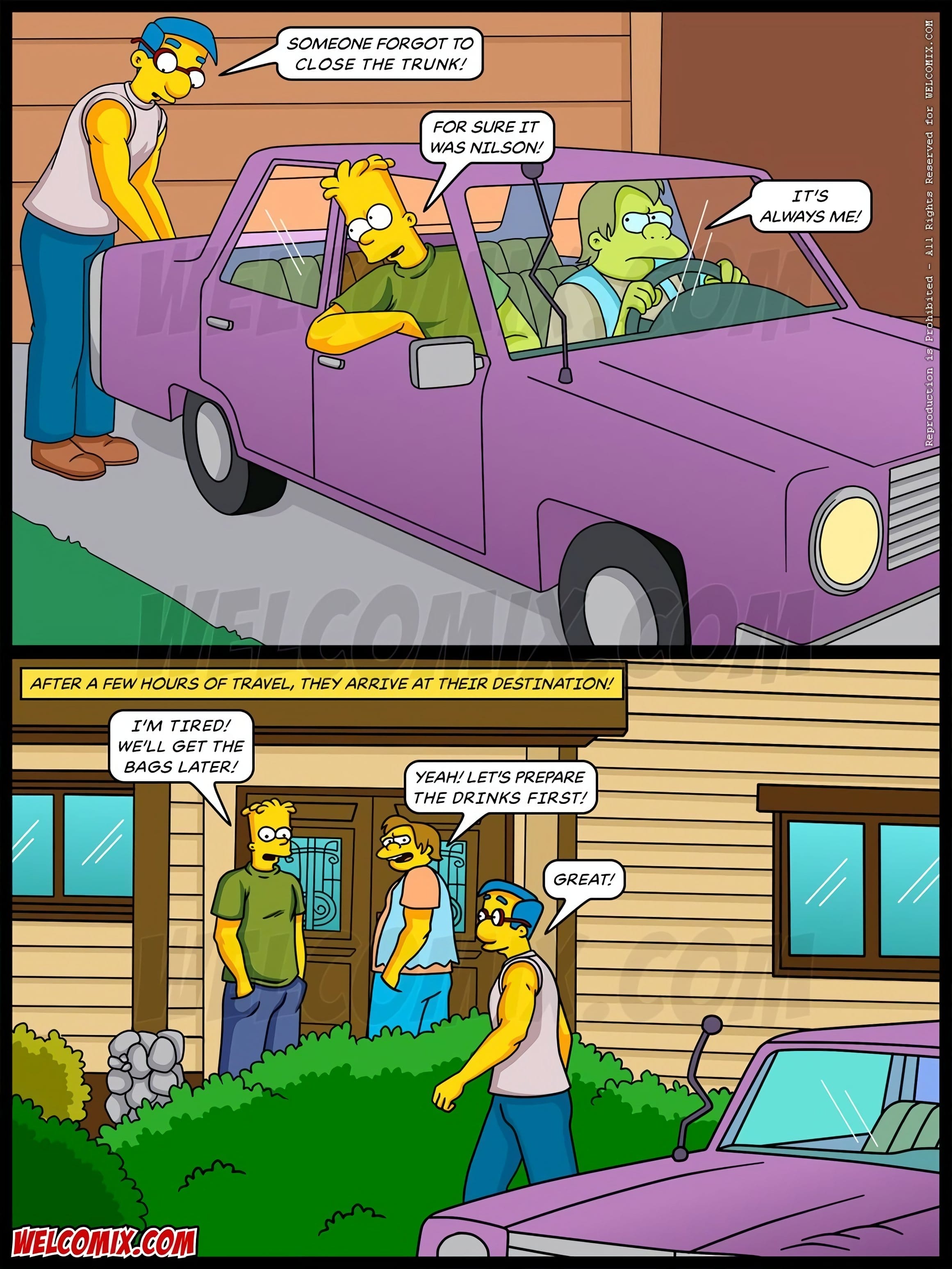 The Simptoons (The Simpsons) 21 – The Simptoons – (The Simpsons) — preview page 3