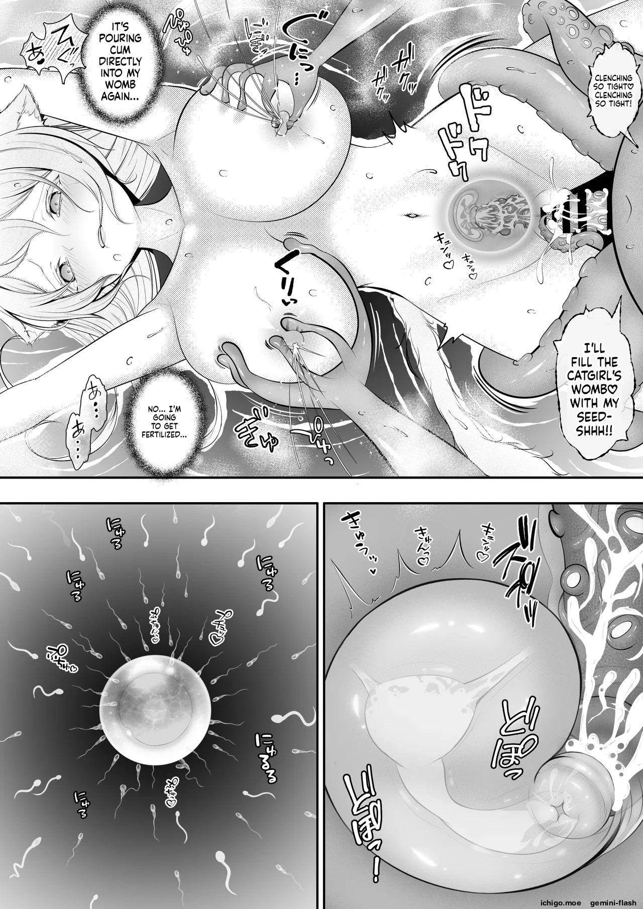 Nekomimi Musume no Junan Octopacus Shokushu Kangoku – Chapter 1 – page 44