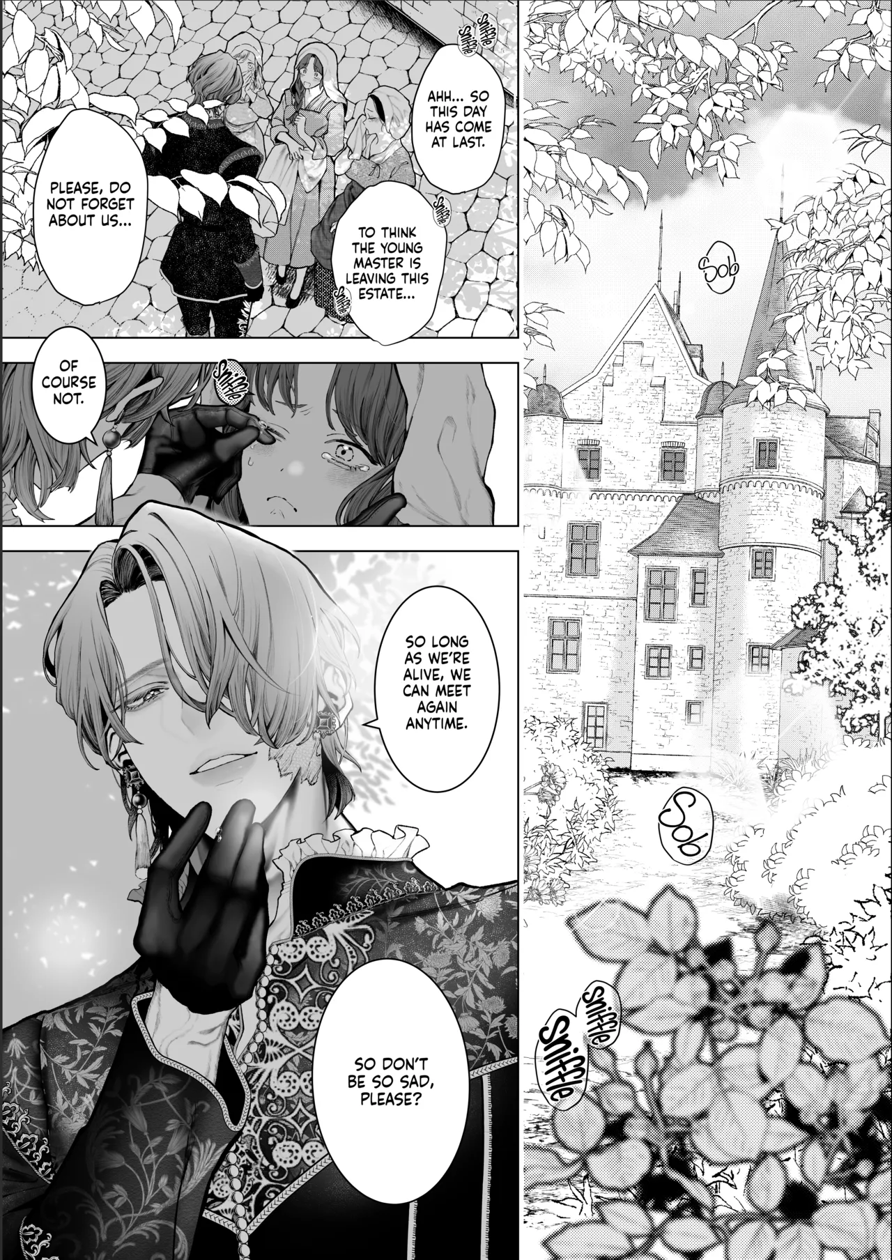 Houtou Kizoku wa Moto Outaishihi to no Haramasekon de Isogashii – The Rake and The Once Crowned Princess — preview page 8