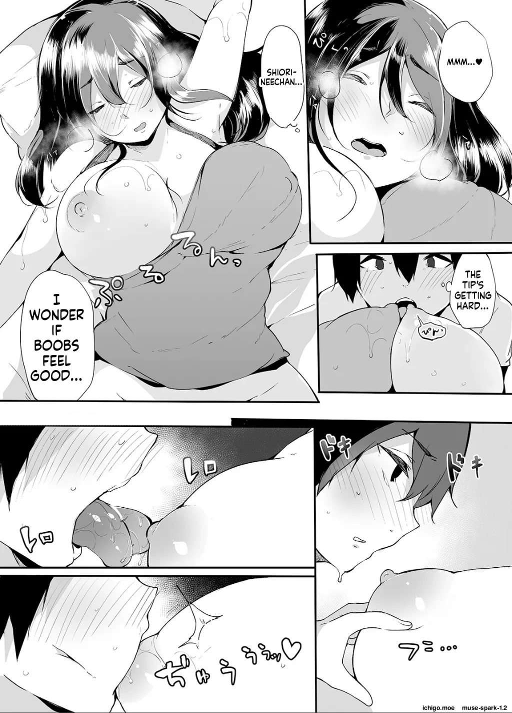 Otouto ni Ero Manga to Onaji Koto o Sarechau Onee-chan no Hanashi 1 — preview page 14